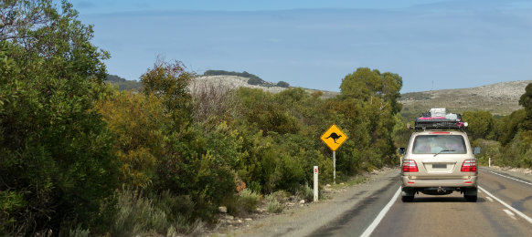 Driving a car hire on Cape du Couedic road on Kangaroo Island, South Australia